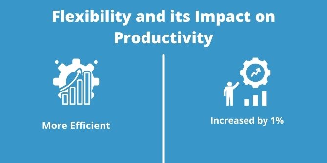 Flexibility and its Impact on Productivity